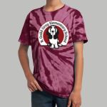 Youth Tie-Dye T-Shirt - Gray Thumbnail