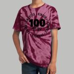 Youth Tie-Dye T-Shirt - Gray Thumbnail