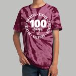 Youth Tie-Dye T-Shirt - Gray Thumbnail