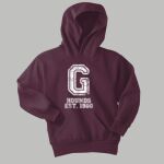 Youth Hoodie - Gray Thumbnail