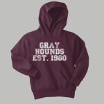 Youth Hoodie - Gray Thumbnail