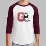 Adult Raglan T-Shirt - Gray Thumbnail