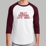 Adult Raglan T-Shirt - Gray Thumbnail