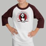 Youth Raglan T-Shirt - Gray Thumbnail