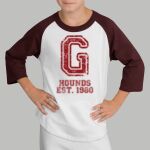 Youth Raglan T-Shirt - Gray Thumbnail