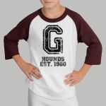Youth Raglan T-Shirt - Gray Thumbnail